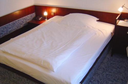 Hotel & Restaurant Raisch Steinwenden Tiện nghi bức ảnh